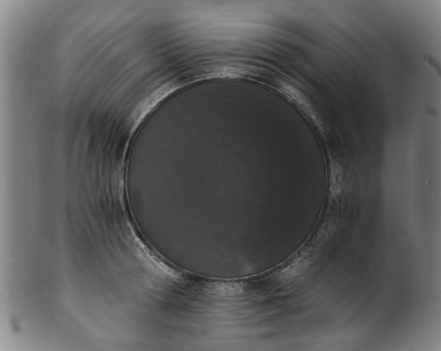 X0000101670802200807241439