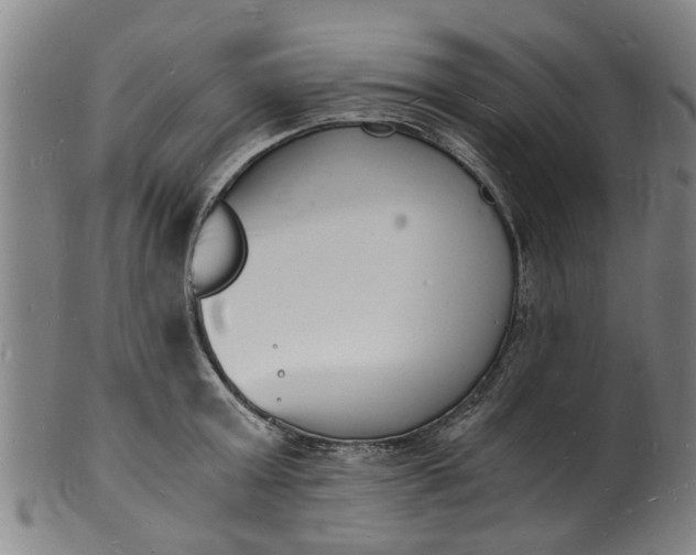 X0000101670803200807241439