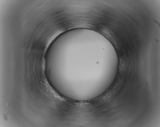 X0000101670804200807241439