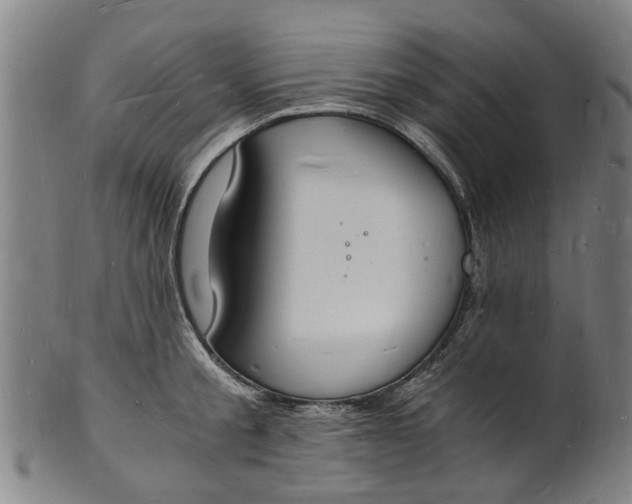X0000101670805200807241439
