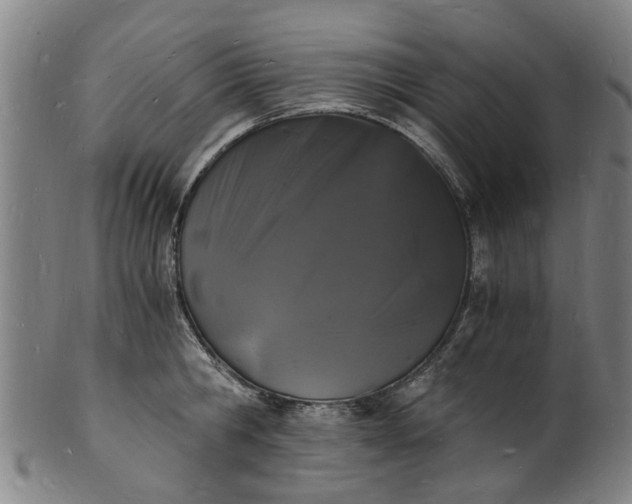 X0000101670806200807241439