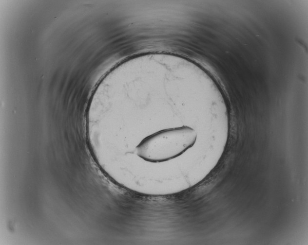 X0000101670807200807241439
