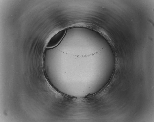 X0000101670808200807241439
