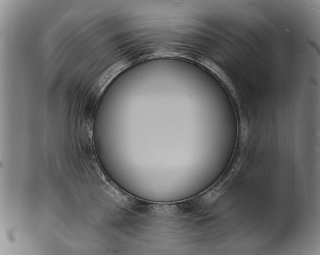 X0000101670809200807241439