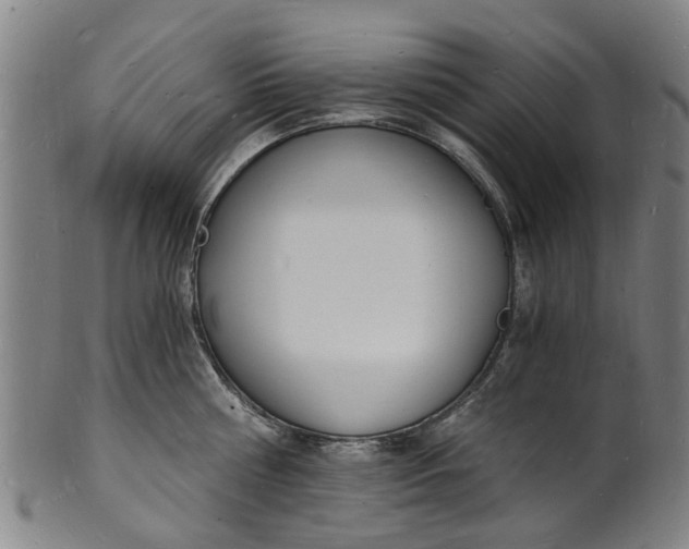 X0000101670810200807241439