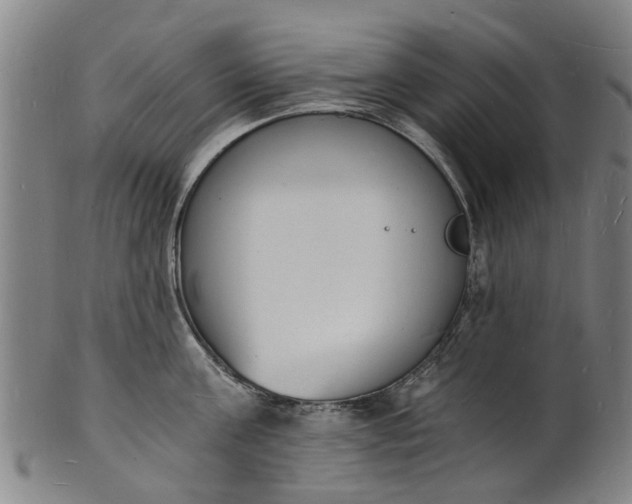 X0000101670811200807241439