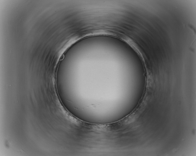 X0000101670813200807241439