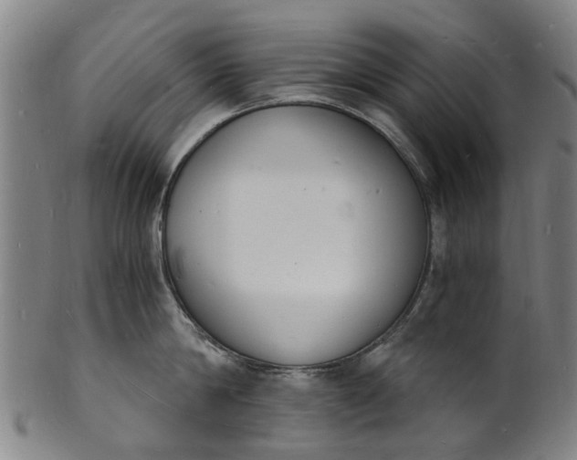 X0000101670814200807241439