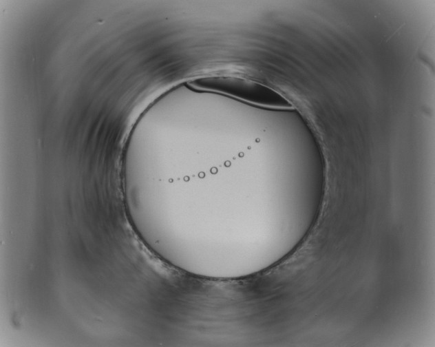 X0000101670816200807241439