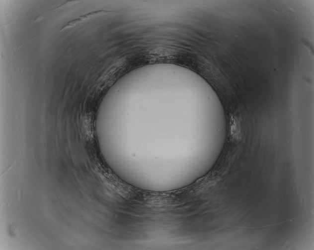 X0000101670819200807241438