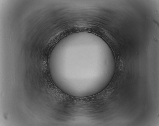 X0000101670821200807241438