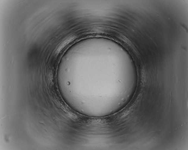 X0000101670826200807241438