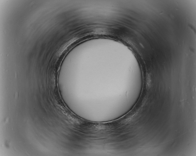 X0000101670829200807241438