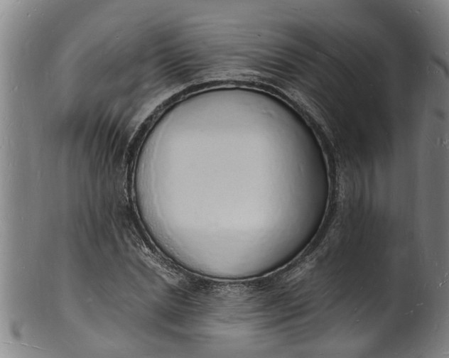 X0000101670830200807241438