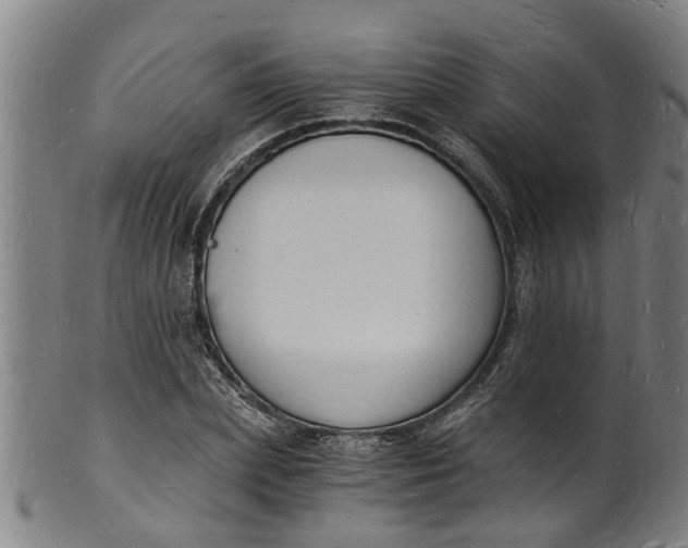 X0000101670831200807241439