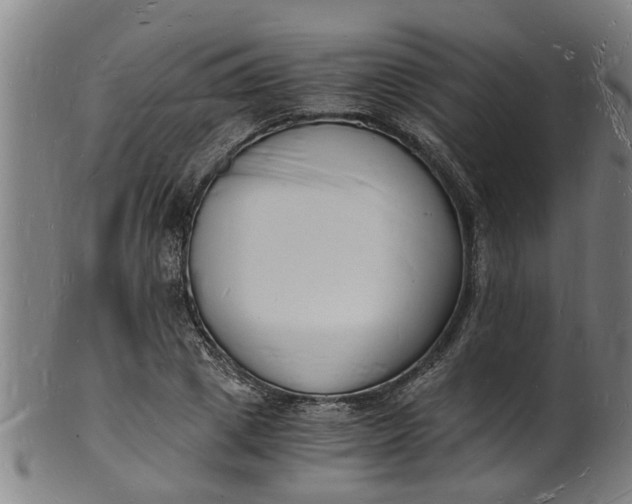 X0000101670833200807241439