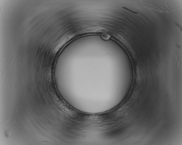 X0000101670834200807241439