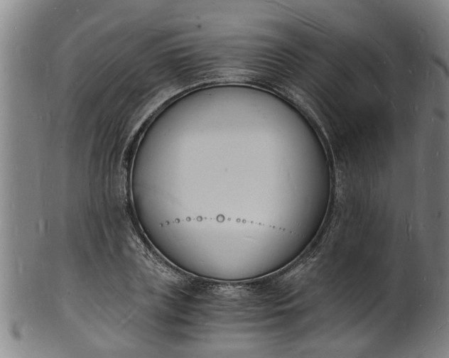 X0000101670835200807241439