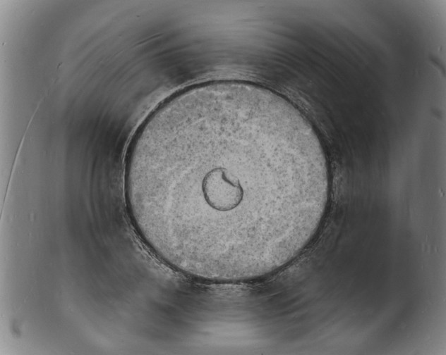 X0000101670836200807241439