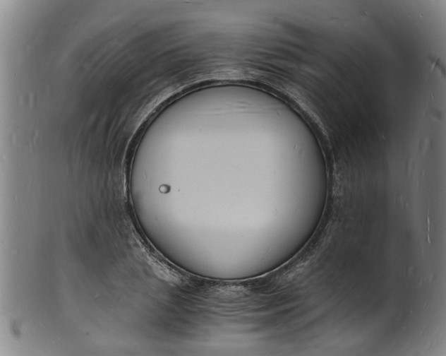 X0000101670837200807241439