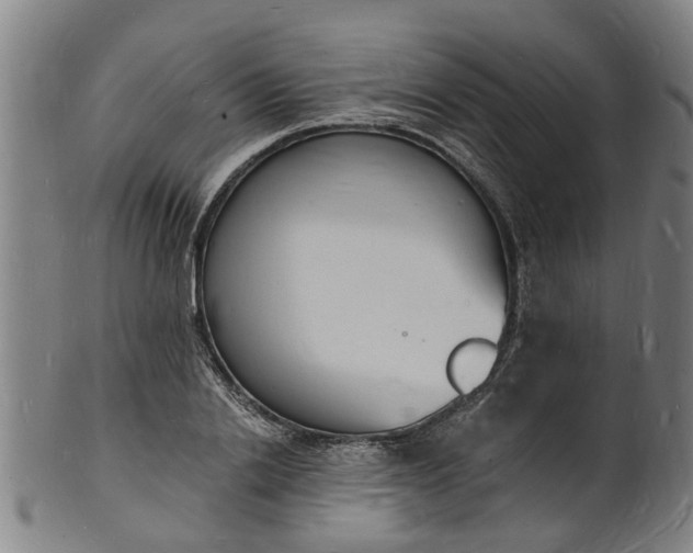 X0000101670838200807241439