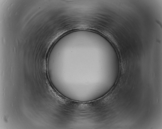 X0000101670839200807241439