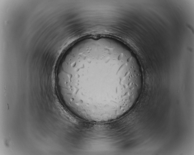 X0000101670840200807241439