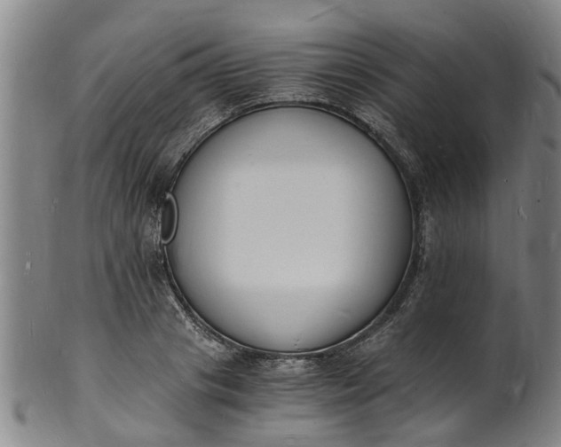 X0000101670841200807241439