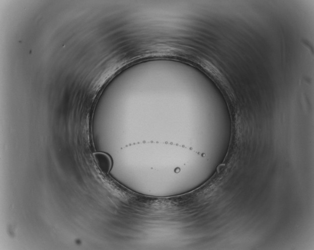 X0000101670842200807241439