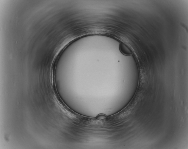 X0000101670843200807241439