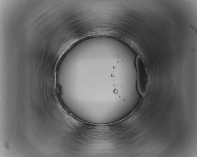 X0000101670844200807241439