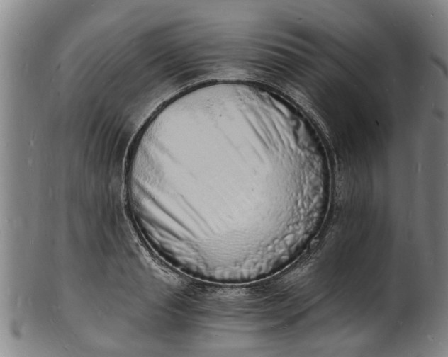 X0000101670845200807241439
