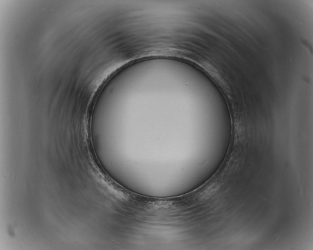 X0000101670846200807241439
