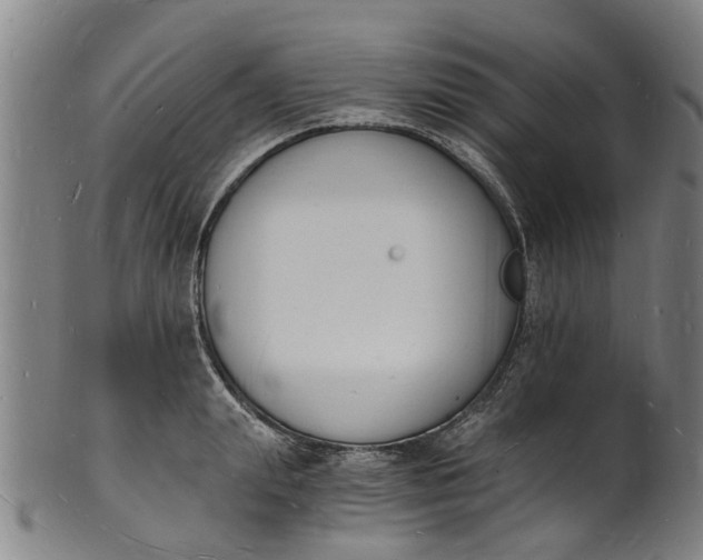 X0000101670847200807241439