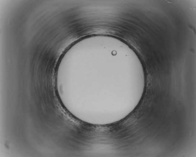 X0000101670848200807241439
