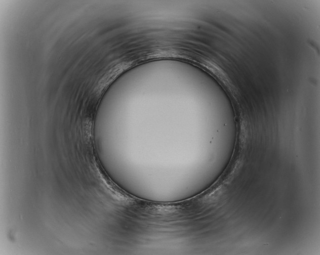 X0000101670849200807241439