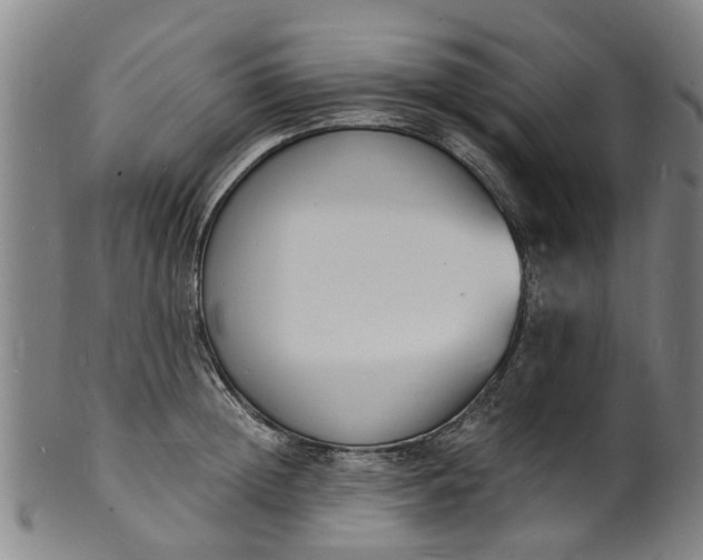 X0000101670852200807241439