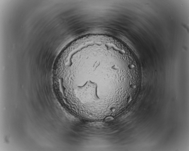X0000101670853200807241439