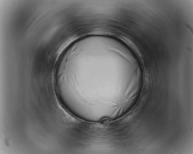 X0000101670855200807241439