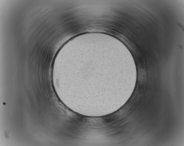 X0000101670856200807241439