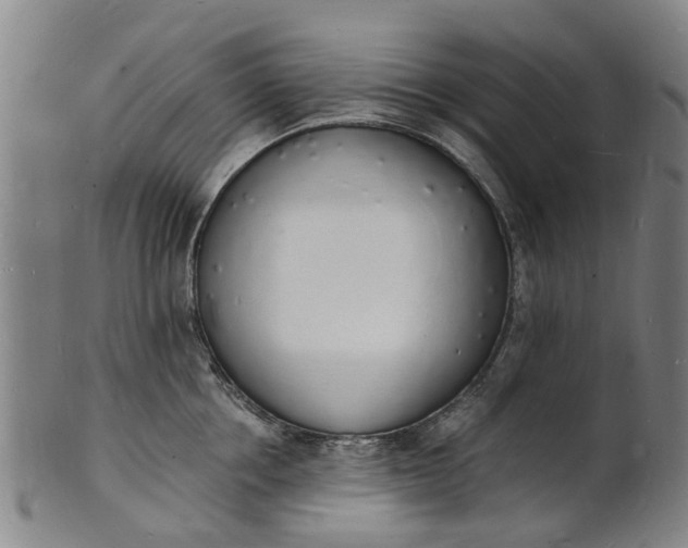 X0000101670858200807241439