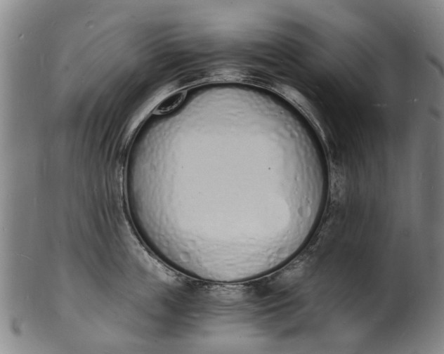 X0000101670859200807241439