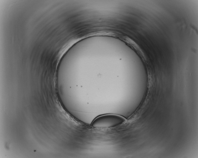 X0000101670860200807241439