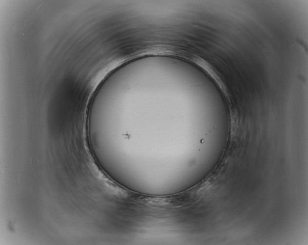 X0000101670861200807241439