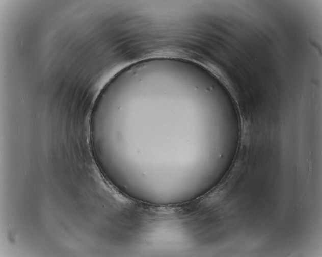 X0000101670862200807241439