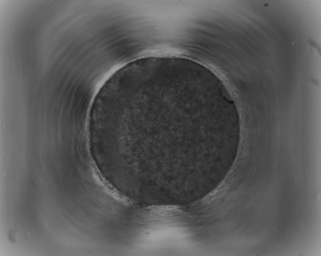 X0000101670864200807241439