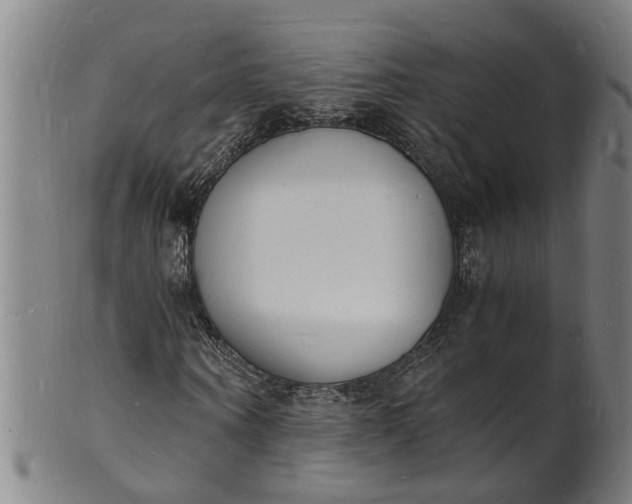X0000101670866200807241438