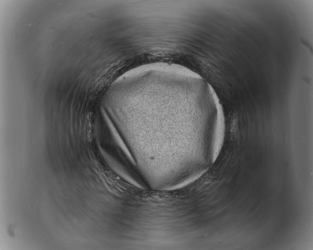 X0000101670868200807241438