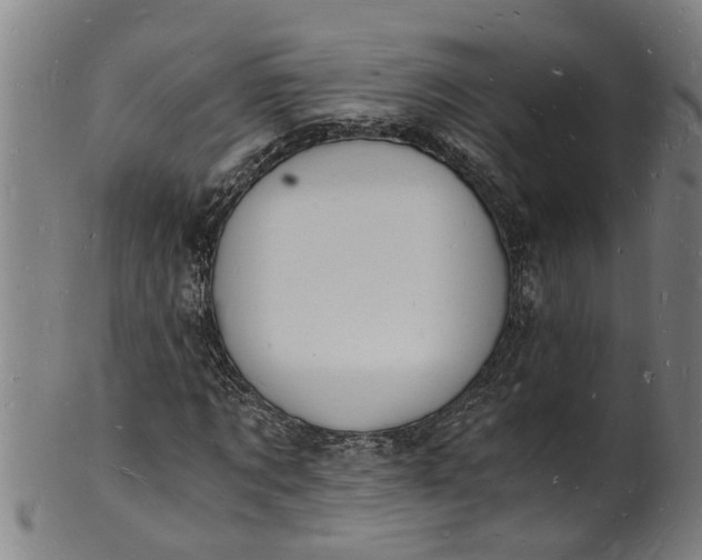 X0000101670869200807241438
