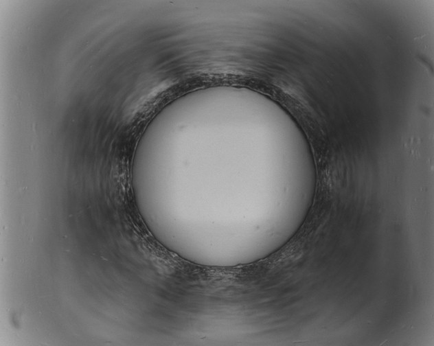 X0000101670870200807241438